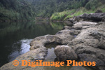 Whanganui 
                  
 
 
 
 
  
  
  
  
  
  
  
  
  
  
  
  
  
  River  6583